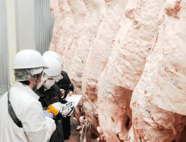 精肉店 プロが牛肉を見極める 脂の質 赤身の香り