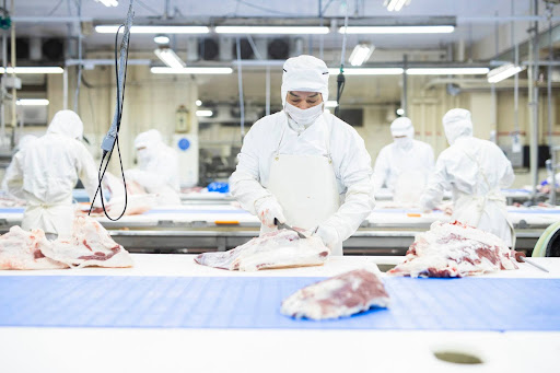 宮崎県 畜産環境 日照時間 飼育