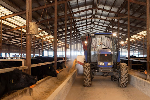 輸入牛 赤身中心の牛肉